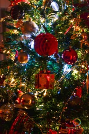 thumbnail: Interior detail