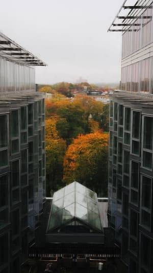 thumbnail: View from property
