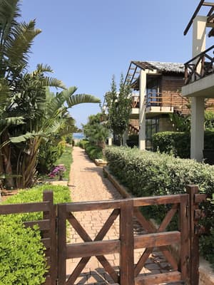 thumbnail: View from room