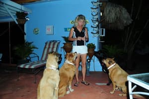thumbnail: Terrace/patio