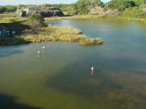 thumbnail: Lake
