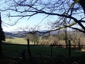 thumbnail: View from property