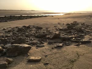 thumbnail: Beach