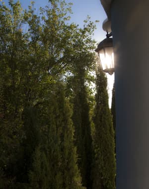 thumbnail: Exterior detail