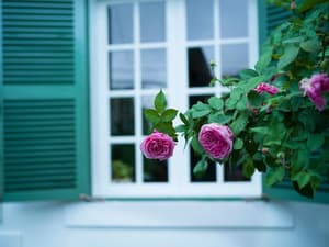 thumbnail: Exterior