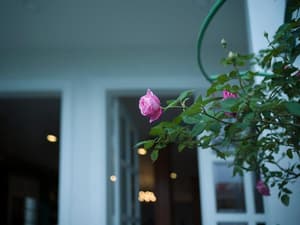 thumbnail: Interior