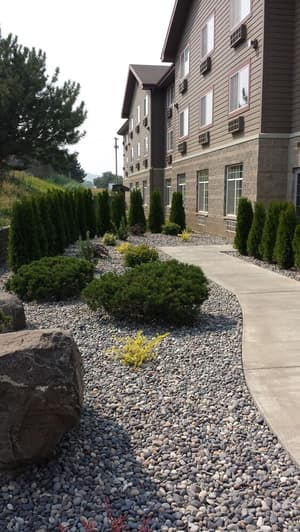 thumbnail: Garden