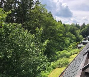 thumbnail: View from room