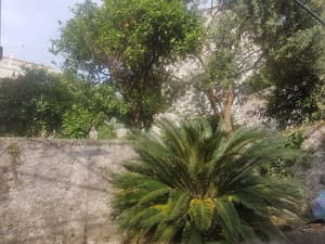 thumbnail: Terrace/patio