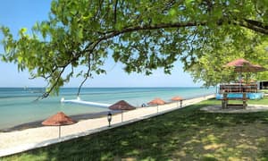 thumbnail: Beach