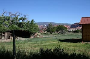 thumbnail: Property grounds