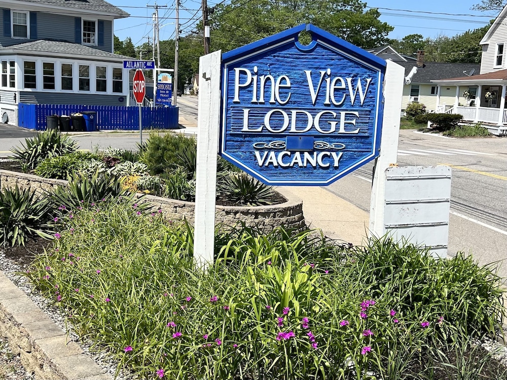 Primary image