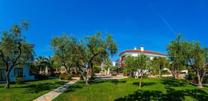 thumbnail: General view