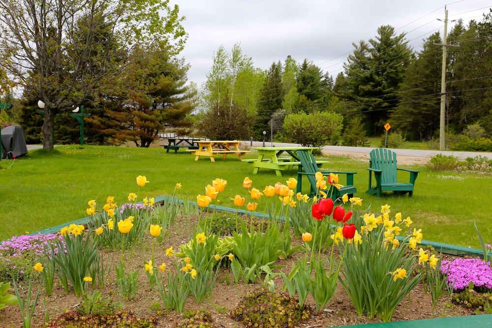 BBQ/picnic area