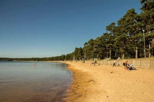 thumbnail: General view