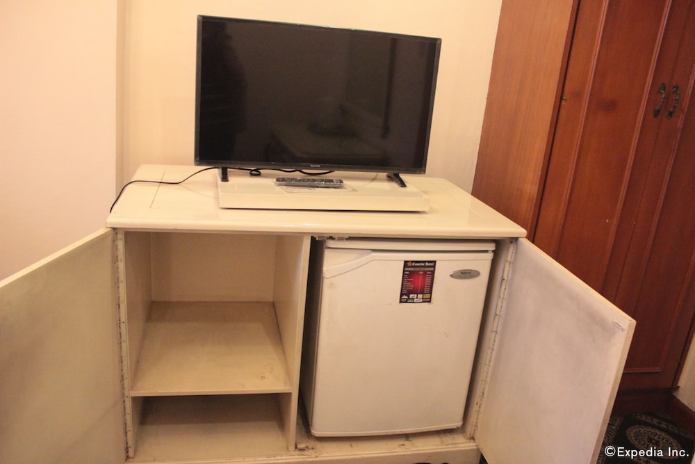 Mini-refrigerator