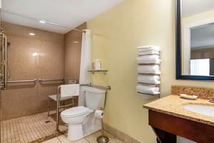 thumbnail: Accessible bathroom