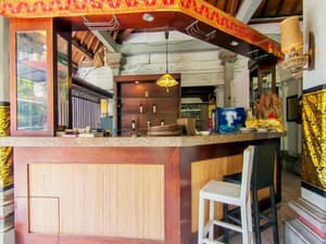 thumbnail: General view