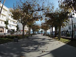 thumbnail: 62525047.jpg