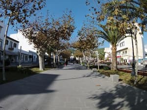 thumbnail: 62525056.jpg