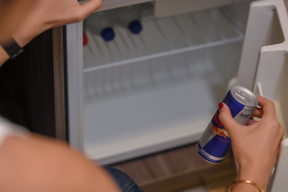 Mini-refrigerator