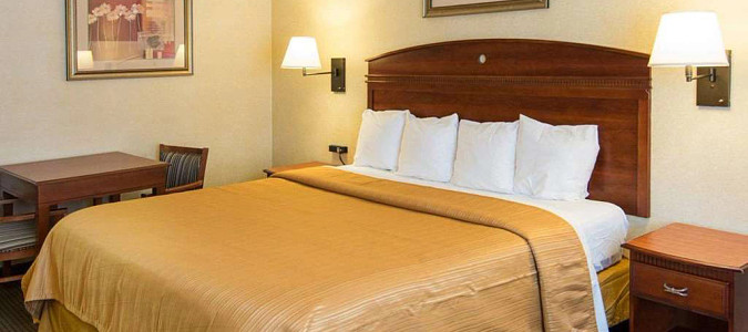 Guest room with one bed