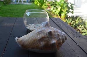 thumbnail: General view