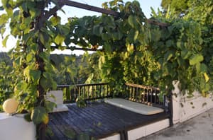 thumbnail: View from room