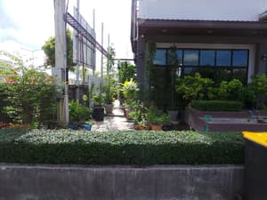 thumbnail: Garden