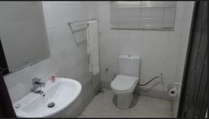 thumbnail: Primary image