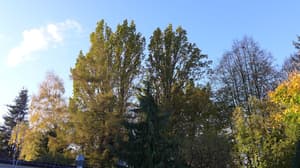 thumbnail: View from room
