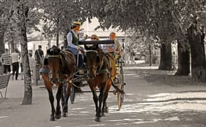 thumbnail: Horseback riding