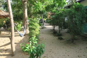 thumbnail: Garden