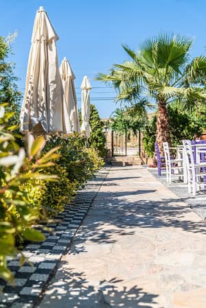 thumbnail: Garden