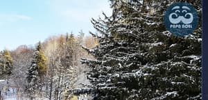 thumbnail: Mountain view