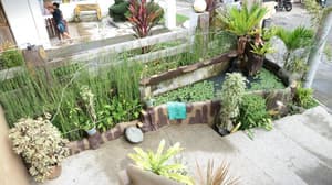 thumbnail: General view