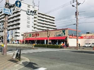 thumbnail: 288934636.jpg