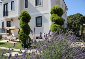 thumbnail: Garden