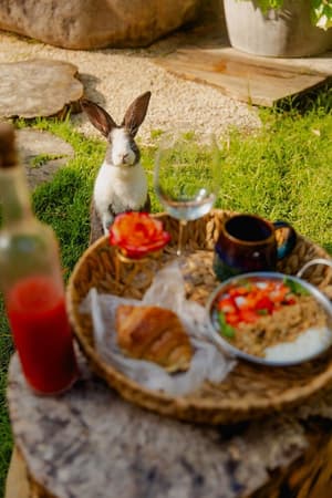 thumbnail: Breakfast meal
