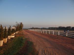 thumbnail: Property grounds