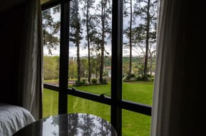 thumbnail: View from room