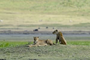 thumbnail: Ecotours