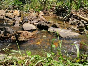 thumbnail: Property grounds