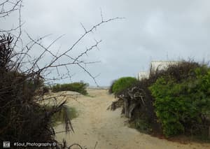 thumbnail: Front of property