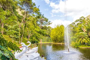 thumbnail: Garden