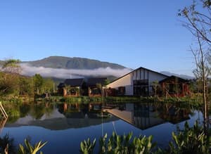 thumbnail: General view