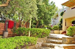 thumbnail: Garden