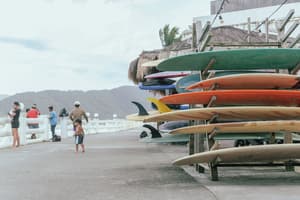 thumbnail: Surfing/boogie boarding