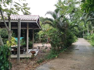 thumbnail: General view