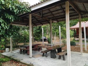 thumbnail: General view
